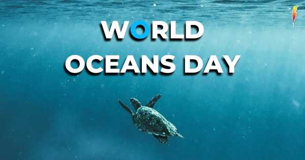 World Ocean Day 2026 and Books Keep Your Mind Close to the Ocean